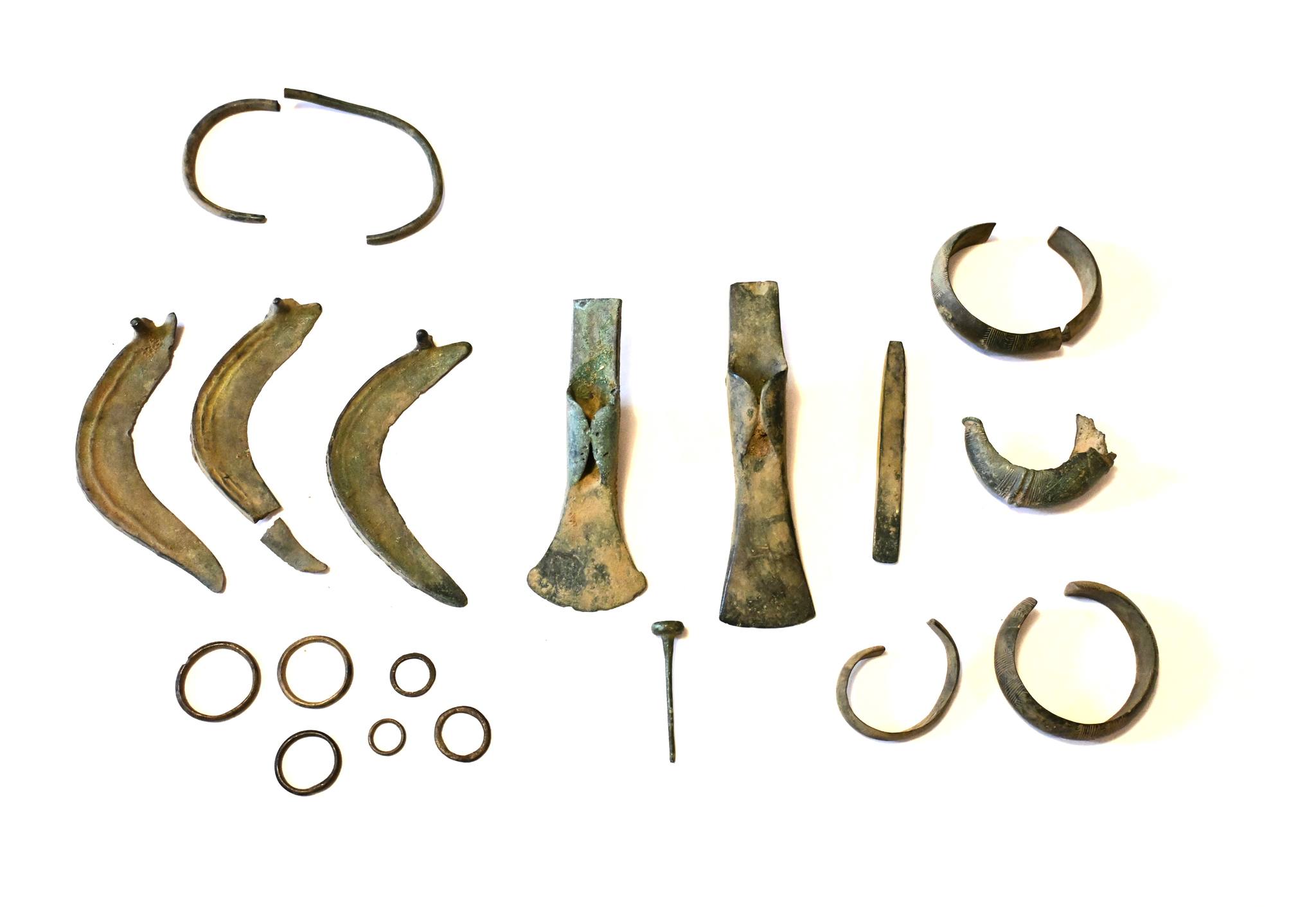 A group of detectorists discovered a treasure trove of axes, sickles and other Bronze Age objects